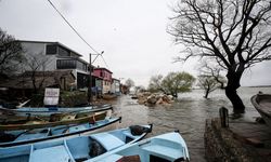 Bursa'da 2 gündür etkili olan sağanak sonucu Uluabat Gölü'nün su seviyesi yükseldi