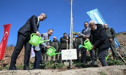 Bursa'da basın mensupları yanan ormanlık alana fidan dikti