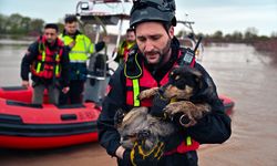 Bursa'da taşkın sırasında bağ evinde mahsur kalan köpekler kurtarıldı