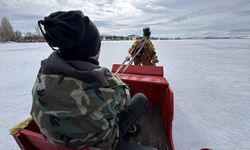 Çıldır Gölü'nde atlı kızak sezonu tamamlandı