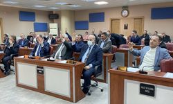 Edirne sınır kapılarından 2025'te yaklaşık 14 milyon yolcu geçiş yaptı