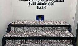 Elazığ'da uyuşturucu operasyonunda yakalanan şüpheli tutuklandı