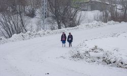 Erzurum, Kars, Tunceli ve Ardahan'da kar yerini soğuk havaya bıraktı