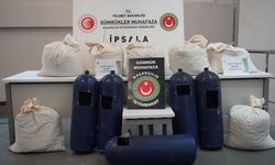 Gümrük muhafazanın narkotik köpekleri gizlenen uyuşturucuları buldu