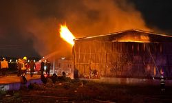 GÜNCELLEME - Osmaniye'de kağıt fabrikasında çıkan yangın kontrol altına alındı