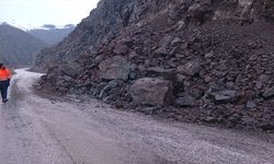 GÜNCELLEME - Yüksekova-Hakkari kara yolunda heyelan meydana geldi