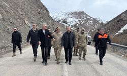 Hakkari Valisi Taşyapan heyelan meydana gelen yolu inceledi