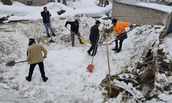 Hakkari'de damı çöken ahırda 5 küçükbaş hayvan telef oldu