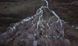 Hakkari'nin Derecik ilçesinde havanın ısınmasıyla doğa canlandı
