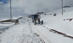 Iğdır'da kardan kapanan köy yolları ulaşıma açıldı