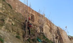 İHH, Halep Kalesi'nde temizlik ve düzenleme çalışması gerçekleştirdi