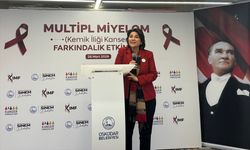 İstanbul'da 'multipl miyelom' hastaları doktorlarla bir araya geldi