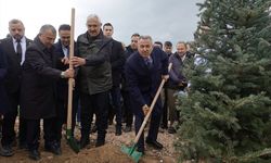 İzmir'de 100 bin fidan toprakla buluşturuldu