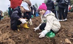 Karabük'te yanan ormanlık alana 2 bin 26 fidan dikildi