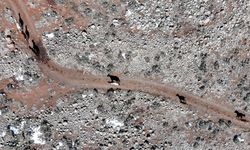 Karacadağ'da yılkı atları dronla görüntülendi