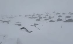 Kars ile Ardahan'da kar yerini soğuk havaya bıraktı