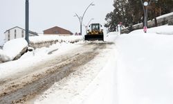 Kars'ta cadde ve sokaklarda kar temizliği başlatıldı