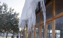 Kars'ta sulak alanlar dondu, bitki ve ağaçlar kırağı tuttu