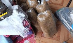 Kastamonu'da 99 bin 560 makaron ele geçirildi, 4 zanlı yakalandı