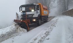 Kocaeli'nin yüksek kesimlerine kar yağdı