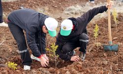 Konya'da 10 bin fidan toprakla buluşturuldu