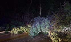 Manisa Salihli'de sağanak hayatı olumsuz etkiledi