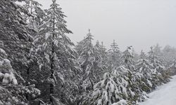 Manisa'nın Demirci ilçesinde kar etkili oldu