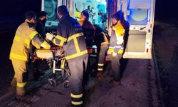 Mardin'de devrilen otomobildeki 1 kişi öldü, 3 kişi yaralandı