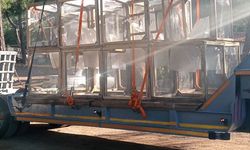 Marmaris'te çam kese böceğiyle kafes yöntemiyle mücadele ediliyor