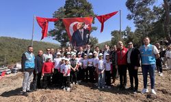 Muğla'da yanan alanlara fidan dikildi