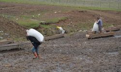 Muş'ta besicilerin kış mesaisi sürüyor