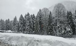 Rize ve Ordu'da kar etkili oldu