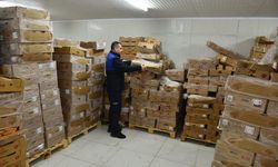 Şanlıurfa'da 50 ton bozuk tavuk eti ele geçirildi