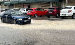 Şanlıurfa'da sağanak etkili oldu