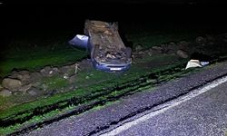 Şanlıurfa'da şarampole devrilen otomobildeki 5 kişi yaralandı