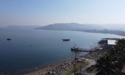 Sapanca Gölü çevresindeki etnobotanik hafıza 112 bitkiyle kayıt altına alındı