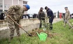 Sinop'ta toprakla buluşturulan 5 bin 700 fidan geleceğe nefes olacak