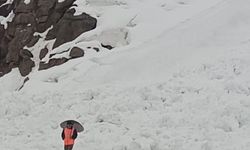 Şırnak-Hakkari kara yoluna çığ düştü