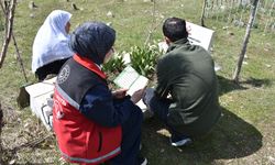 Şırnak'ta bayram öncesi şehit mezarlarında bakım ve onarım yapılıyor