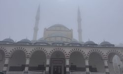 Şırnak'ta sis etkili oldu