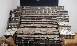 Sivas'ta 293 bin makaron ele geçirildi