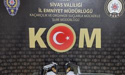 Sivas'ta silah ve mühimmat kaçakçılığı operasyonunda 1 zanlı tutuklandı