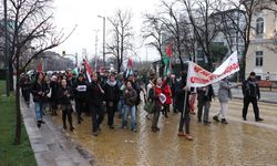 Sofya'da, İsrail'in AB'nin 'Ufuk Avrupa' araştırma programından çıkarılması için gösteri yapıldı