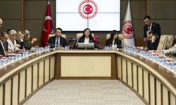 TBMM Suça Sürüklenen Çocuklara İlişkin Araştırma Komisyonu, mağdur aileleri dinledi