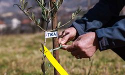 TİKA, Bosna Hersek'teki kadınların tarımsal üretimine destek için proje geliştirdi