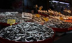 Trabzon'da balıkçı tezgahlarında hamsi ve istavrit ilgi görüyor