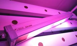 ÜRETİMLE GÜÇLENEN KADINLAR - Kapalı tarım alanında verimi ve besin değerini 'ışık reçetesi'yle artırıyor