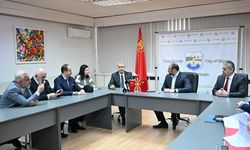 Üsküp'teki Osmanlı mirası Taşköprü dekoratif ve mimari aydınlatmaya kavuşacak