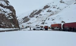 Van-Hakkari kara yolu çığ nedeniyle kapandı
