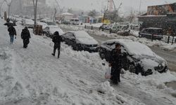 Van, Hakkari, Muş ve Bitlis'te 148 yerleşim yerine ulaşım sağlanamıyor